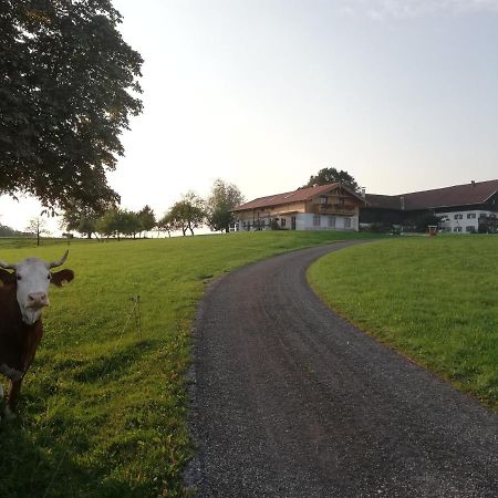 Sonnenhub Apartman Irschenberg Kültér fotó
