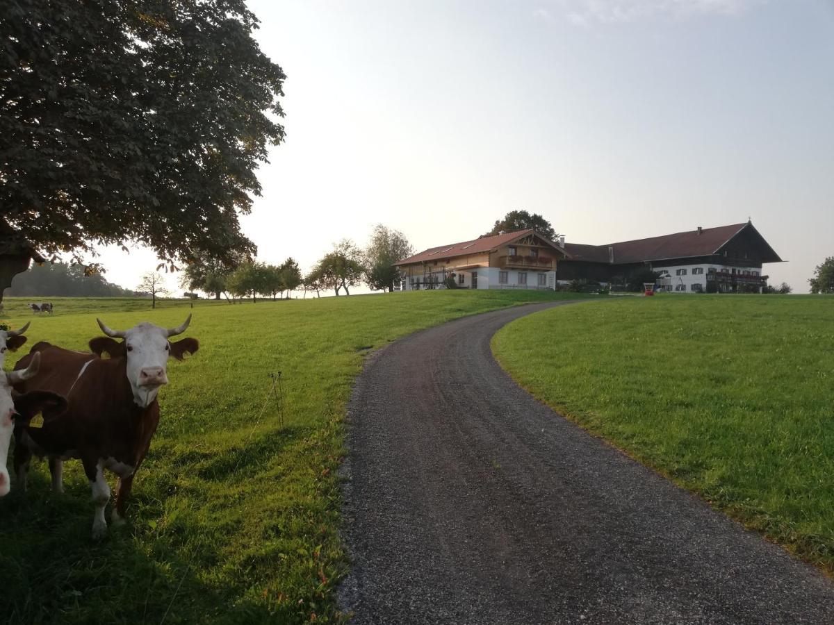 Sonnenhub Apartman Irschenberg Kültér fotó